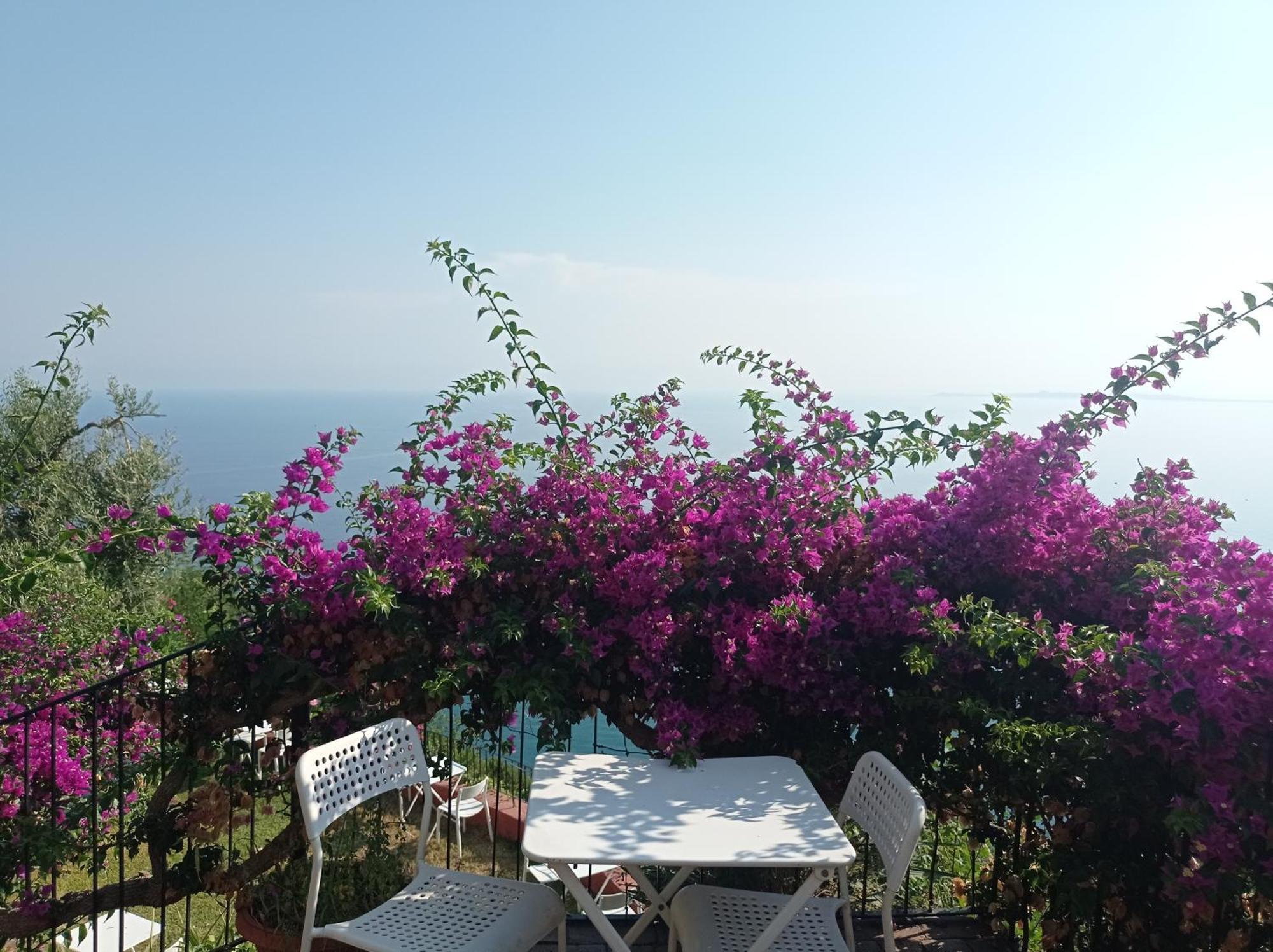 올리베리 Mansarda Con Terrazzo Vista Mare 빌라 외부 사진