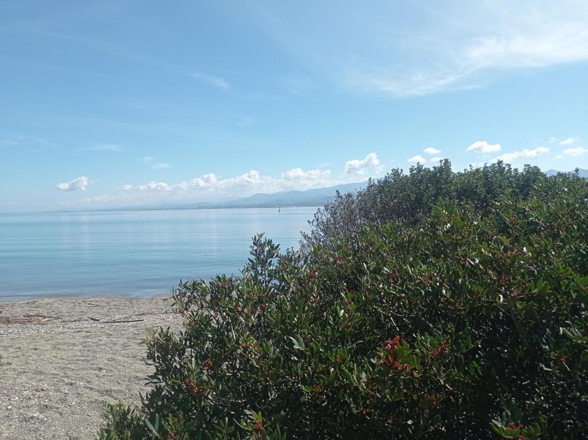 올리베리 Mansarda Con Terrazzo Vista Mare 빌라 외부 사진