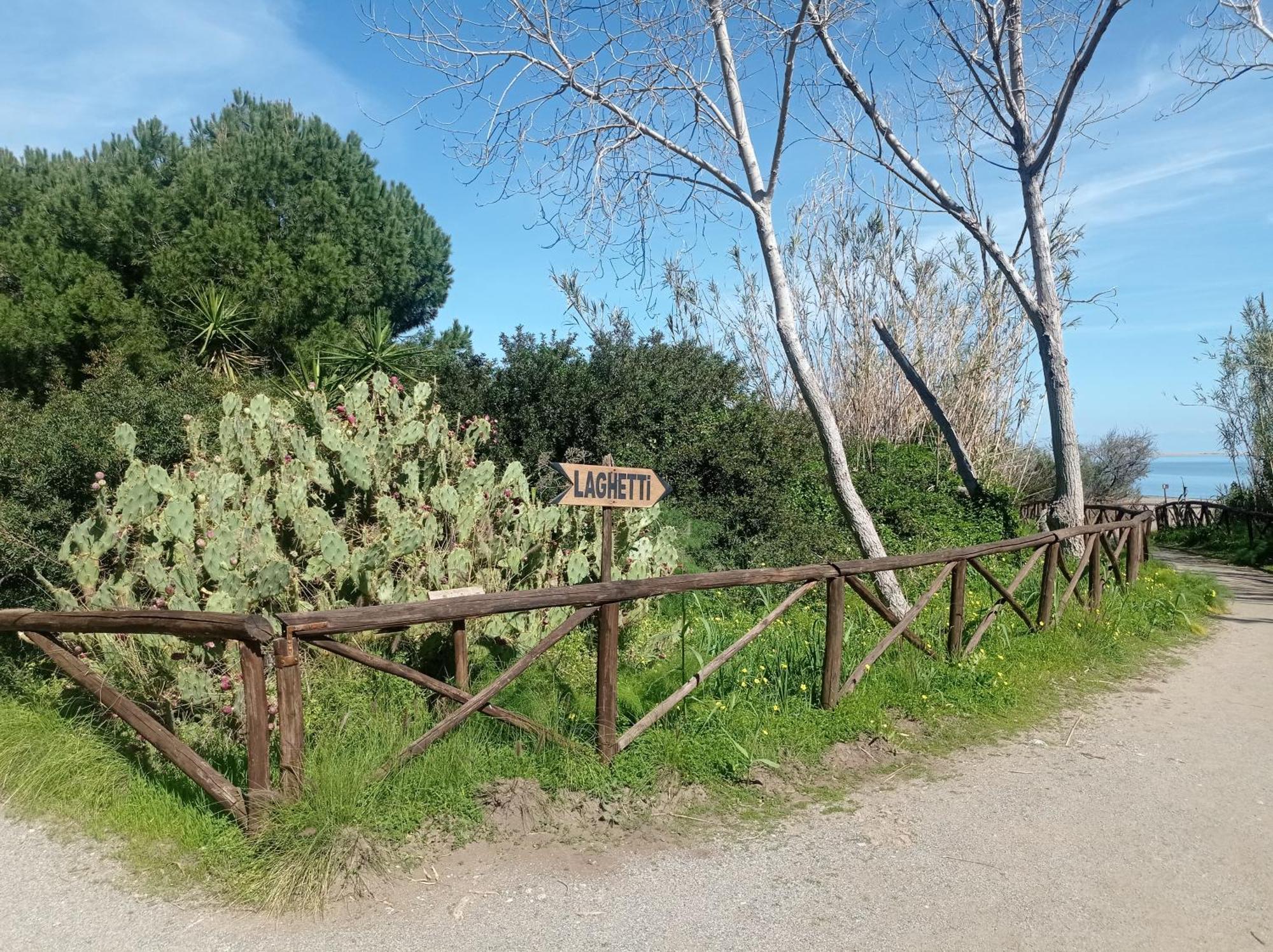 올리베리 Mansarda Con Terrazzo Vista Mare 빌라 외부 사진