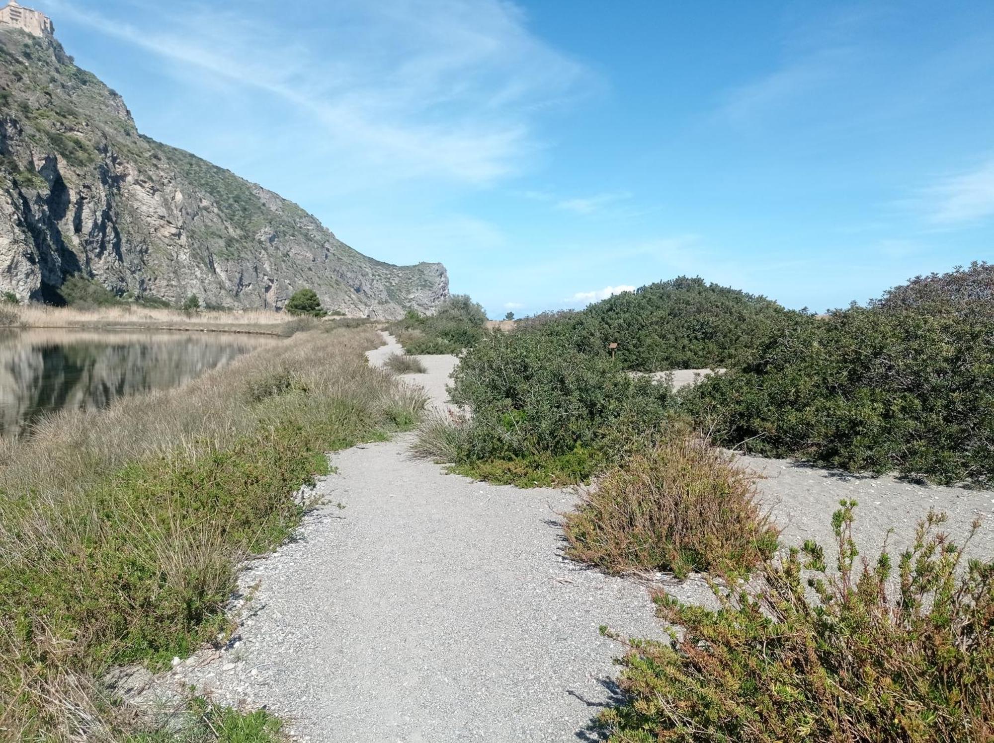 올리베리 Mansarda Con Terrazzo Vista Mare 빌라 외부 사진